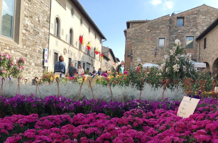 Barberino in fiore