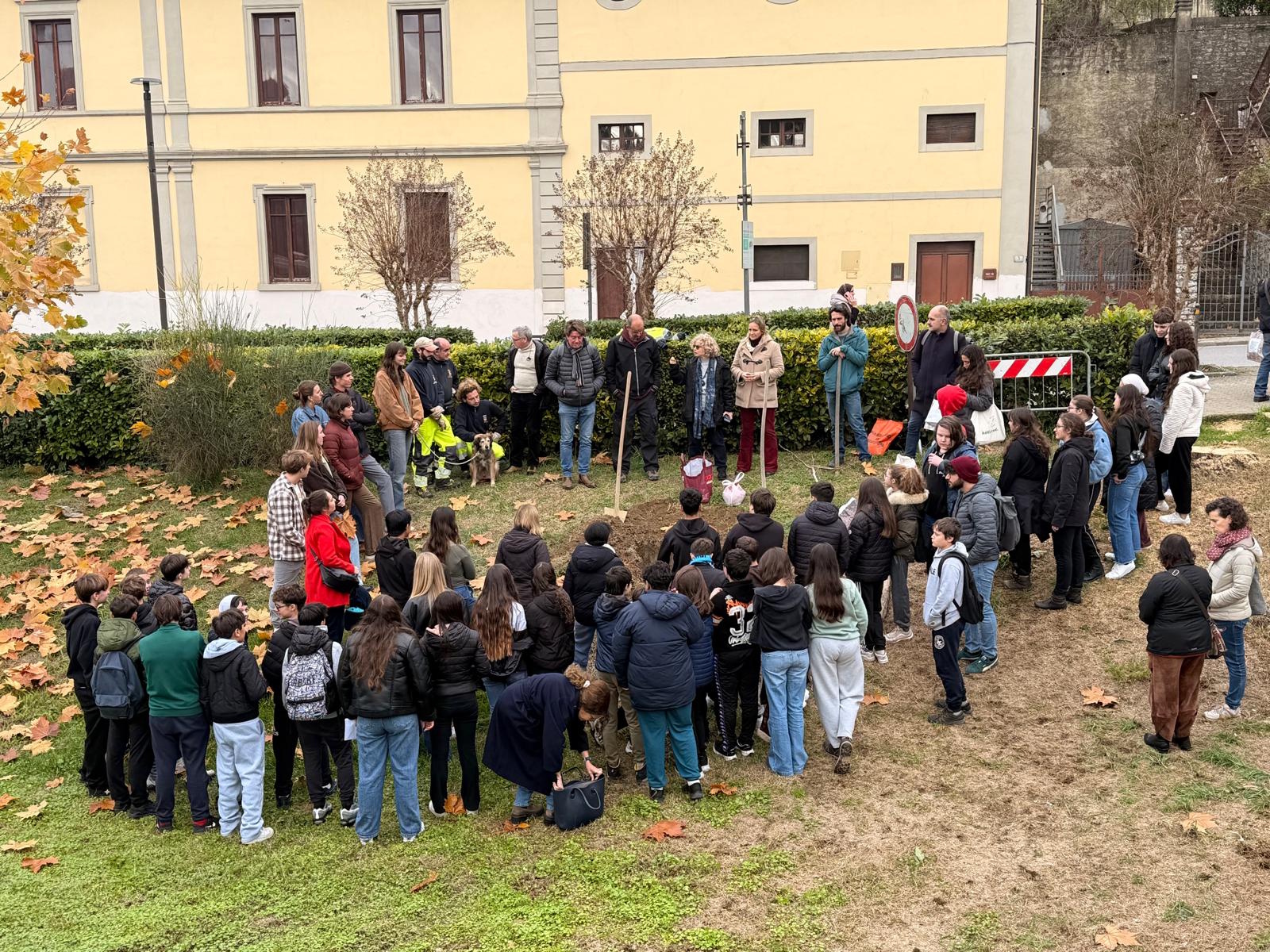 Piantumazione Noce a Greve in Chianti
