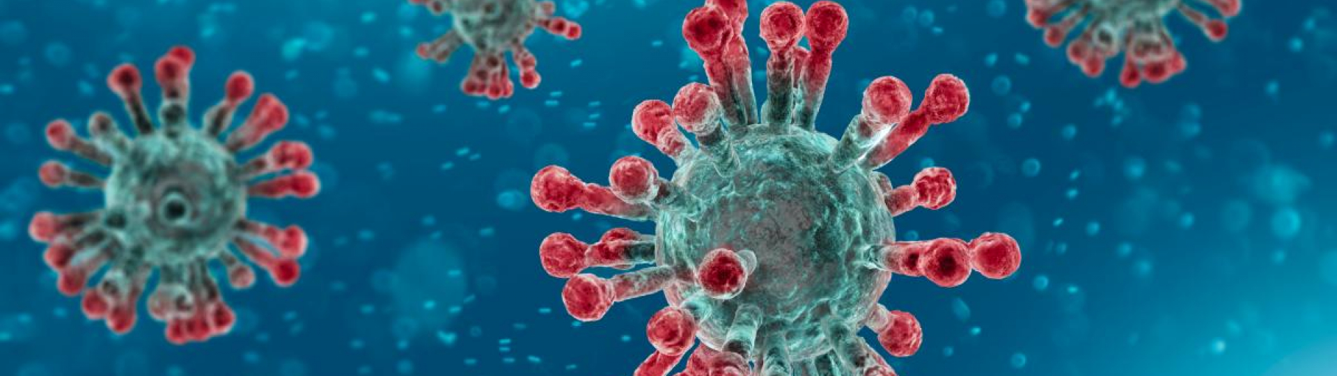 Coronavirus