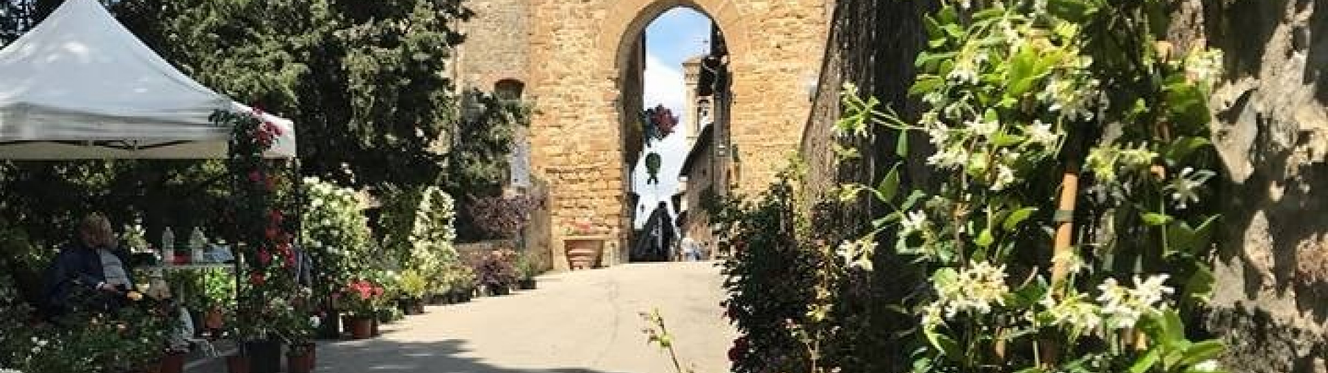 immagine Barberino in fiore