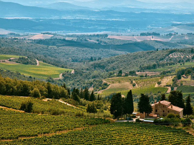 immagine paesaggio