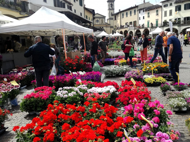 Greve in fiore