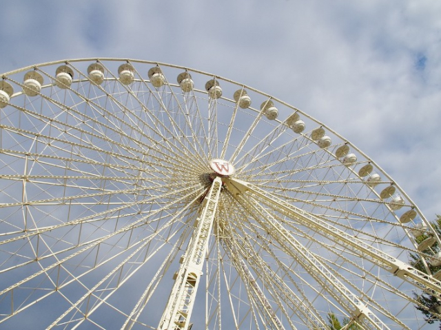 Luan Park Greve
